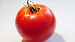 Nature dew tomatoes fruits water drops