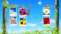 Nature digital collage