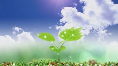 Nature digital Plants dreamy