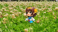Nature dolls figurines suzumiya