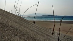 Nature dunes Beaches