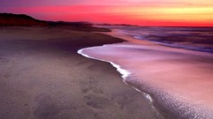 Nature dunes California Beaches half moon bay