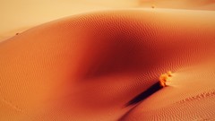 Nature dunes deserts