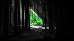 Nature Earth dark forest sunlight