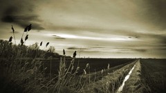 Nature Earth outdoors