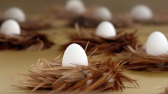 Nature eggs