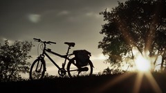 Nature evening Bicycles