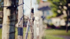 Nature fences depth of field