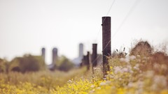 Nature fences depth of field