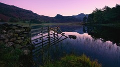 Nature fences forests rocks