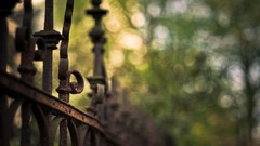Nature fences macro depth