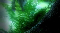 Nature Ferns soft light artwork