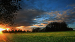 nature field sunlight landscape Trees sky outdoors Plants