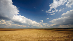Nature fields agriculture skyscapes
