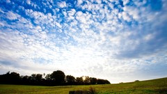 Nature fields forests skyscapes