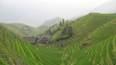 Nature fields Mountains Landscapes