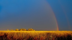 Nature fields rainbows