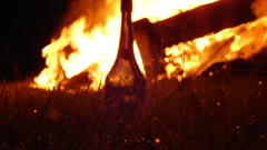 Nature fire bottle grass