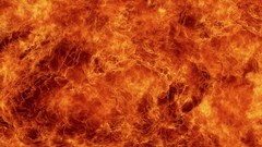 Nature fire cache like slow ambers gawkerassets