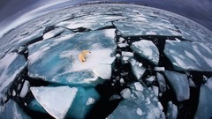 Nature fisheye effect