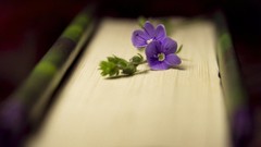 Nature Flowers Books macro