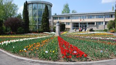 Nature Flowers buildings