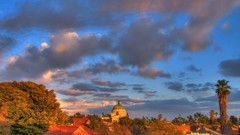 Nature Flowers forests