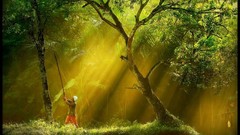 Nature Flowers forests