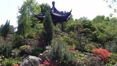 Nature Flowers Garden rocks