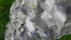 Nature Flowers grass grain