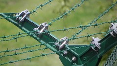 Nature Flowers grass grain