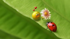 Nature Flowers ladybirds