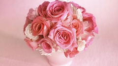 Nature Flowers pink roses