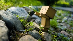 Nature Flowers rocks danboard
