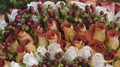 Nature Flowers roses