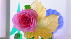 Nature Flowers roses