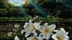 Nature Flowers white flowers