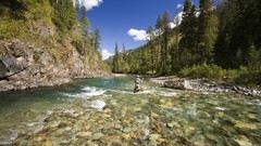Nature fly fishing British Columbia streams rivers forests