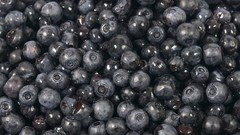 Nature food blueberries fruits