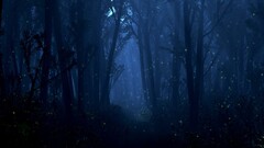 nature forest digital art dark fantasy art