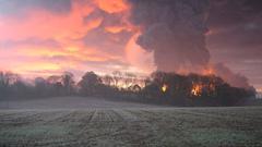 Nature forest fire smoke