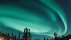 Nature forests aurora borealis