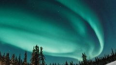 Nature forests aurora borealis