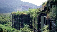 Nature forests balcony Sri