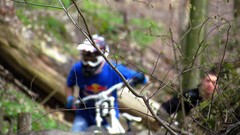 Nature forests Bicycles Sports