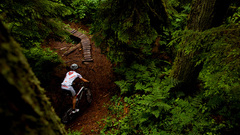 Nature forests biker
