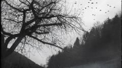 Nature forests Black Metal album covers herbst Neofolk