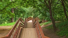 Nature forests Bridges asians