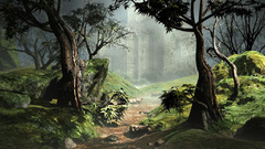 Nature forests drawings