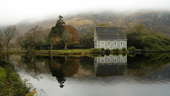 Nature forests houses mist